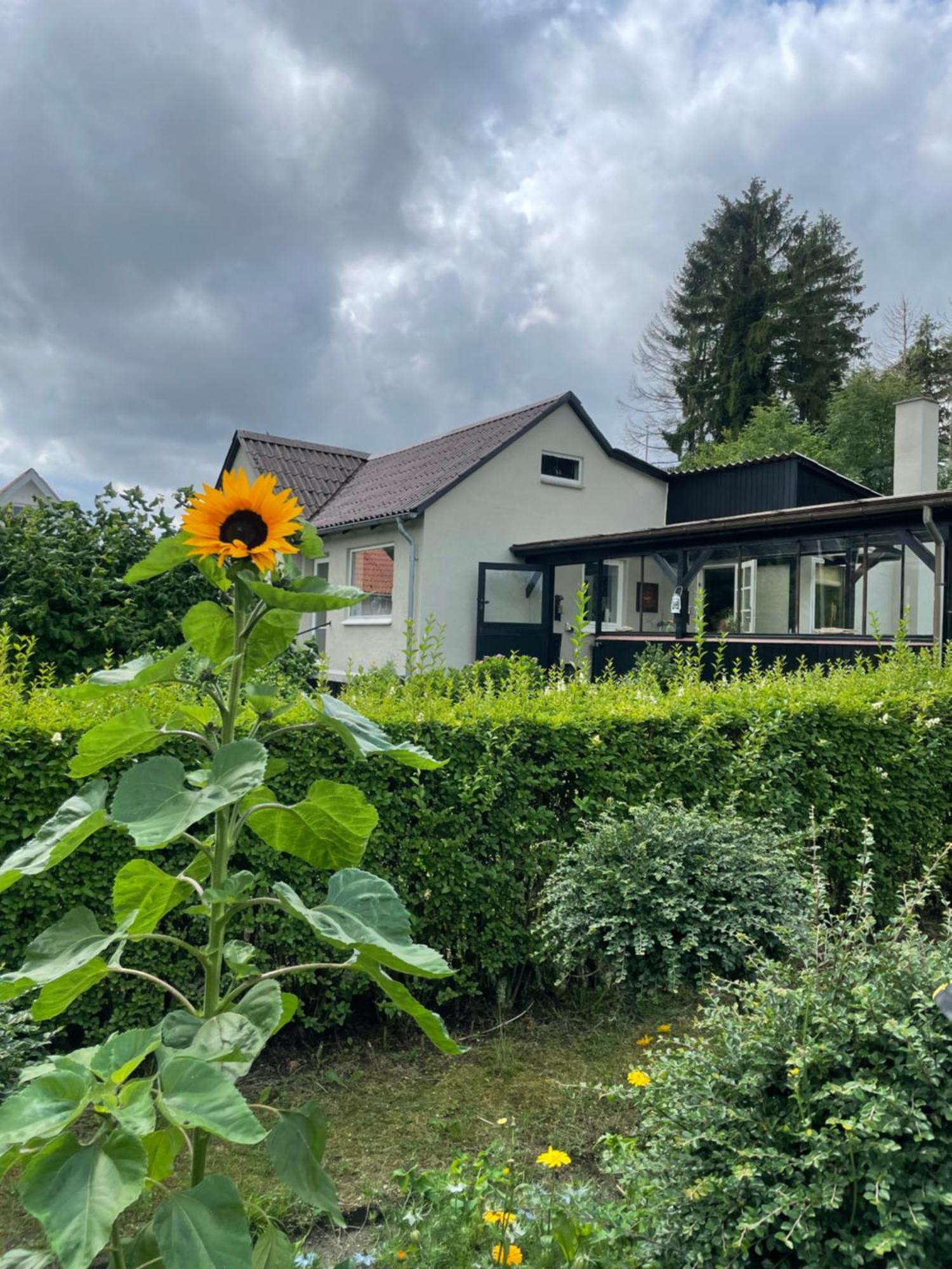 Cozy Garden Glamping * Svendborg