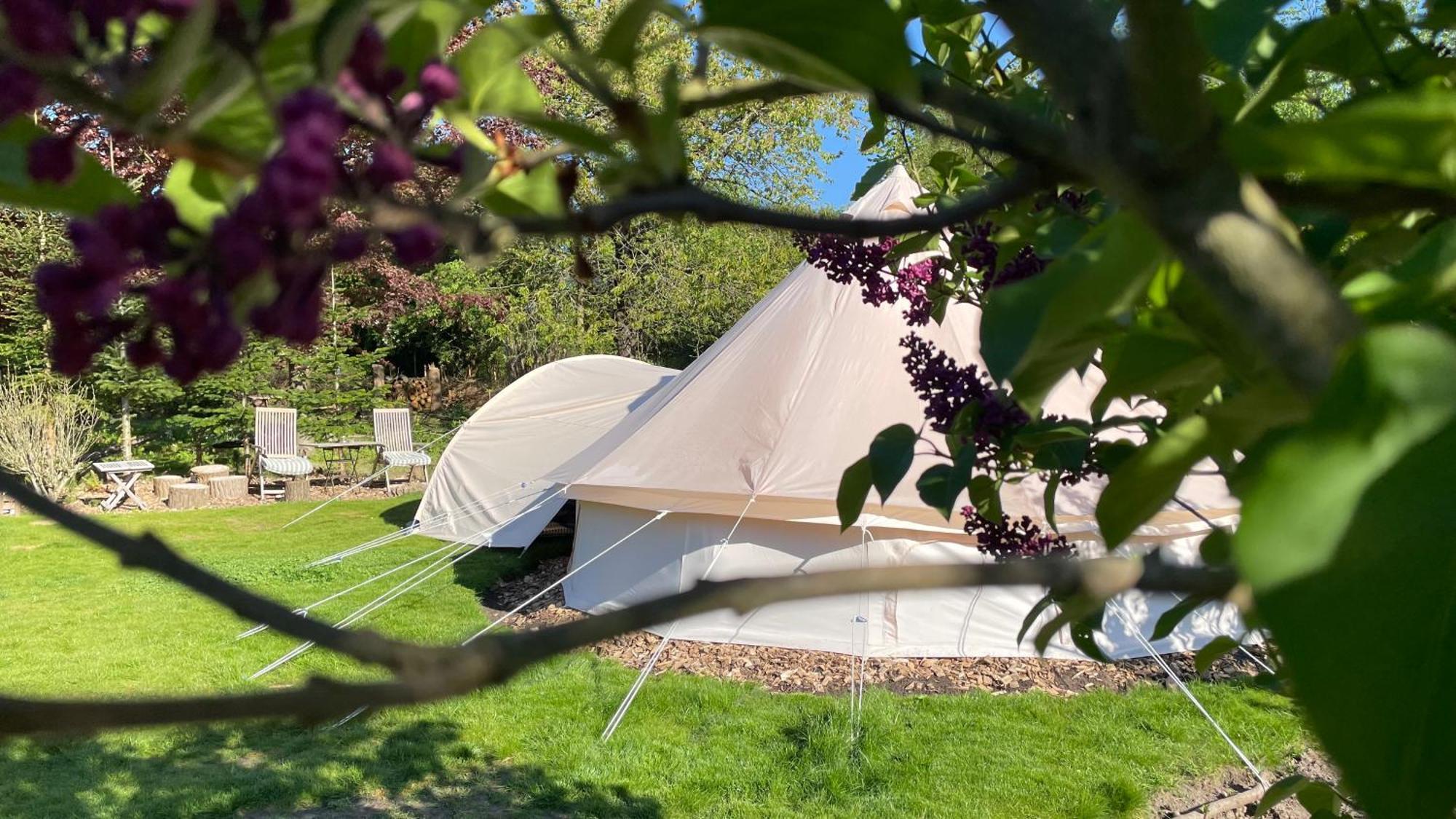 Cozy Garden Glamping Svendborg
