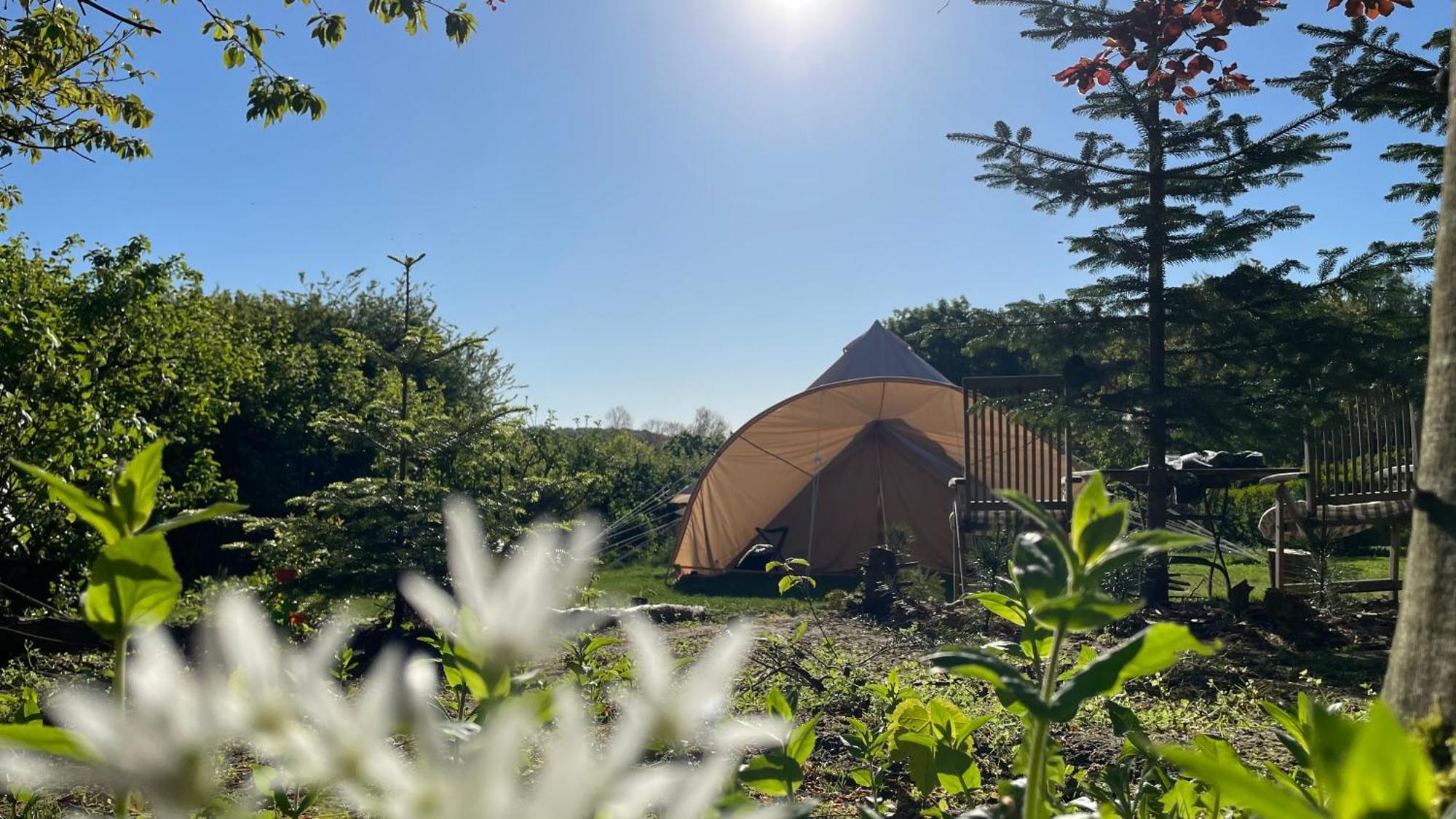 Cozy Garden Glamping Svendborg